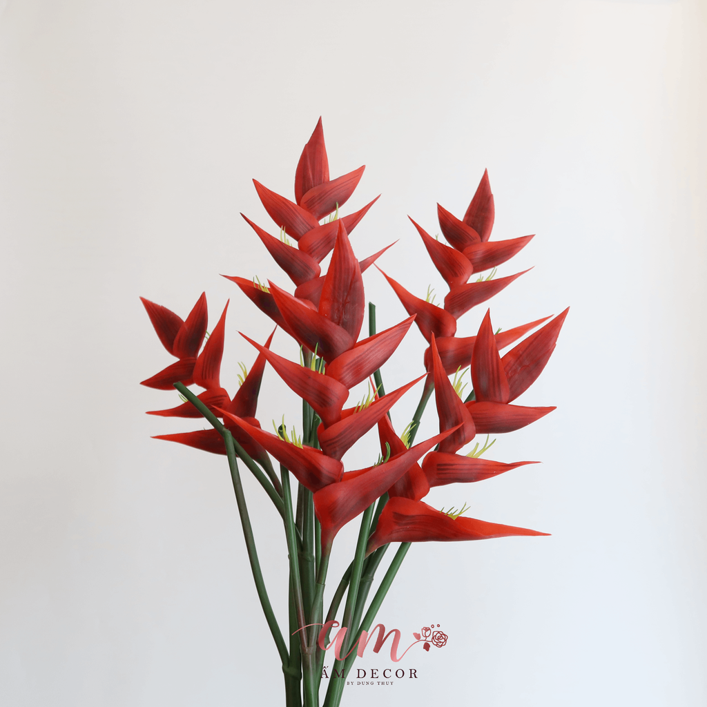 HOA CHUỐI PHÁO CẢNH ĐỎ
