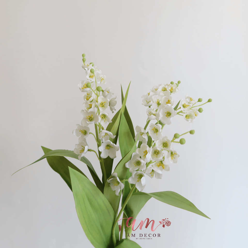 HOA CHUÔNG LINH LAN