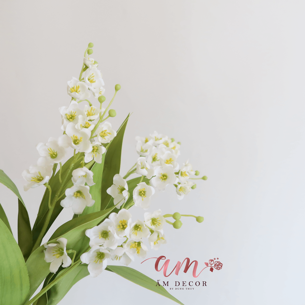 HOA CHUÔNG LINH LAN