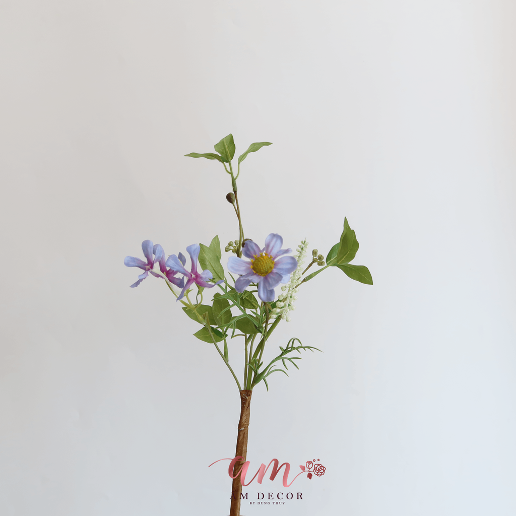 HOA MARGARITA (Xanh Tím)