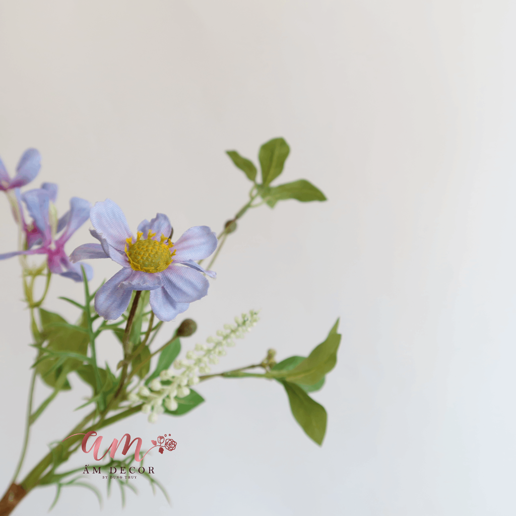 HOA MARGARITA (Xanh Tím)