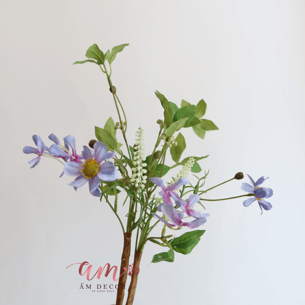 HOA MARGARITA (Xanh Tím)