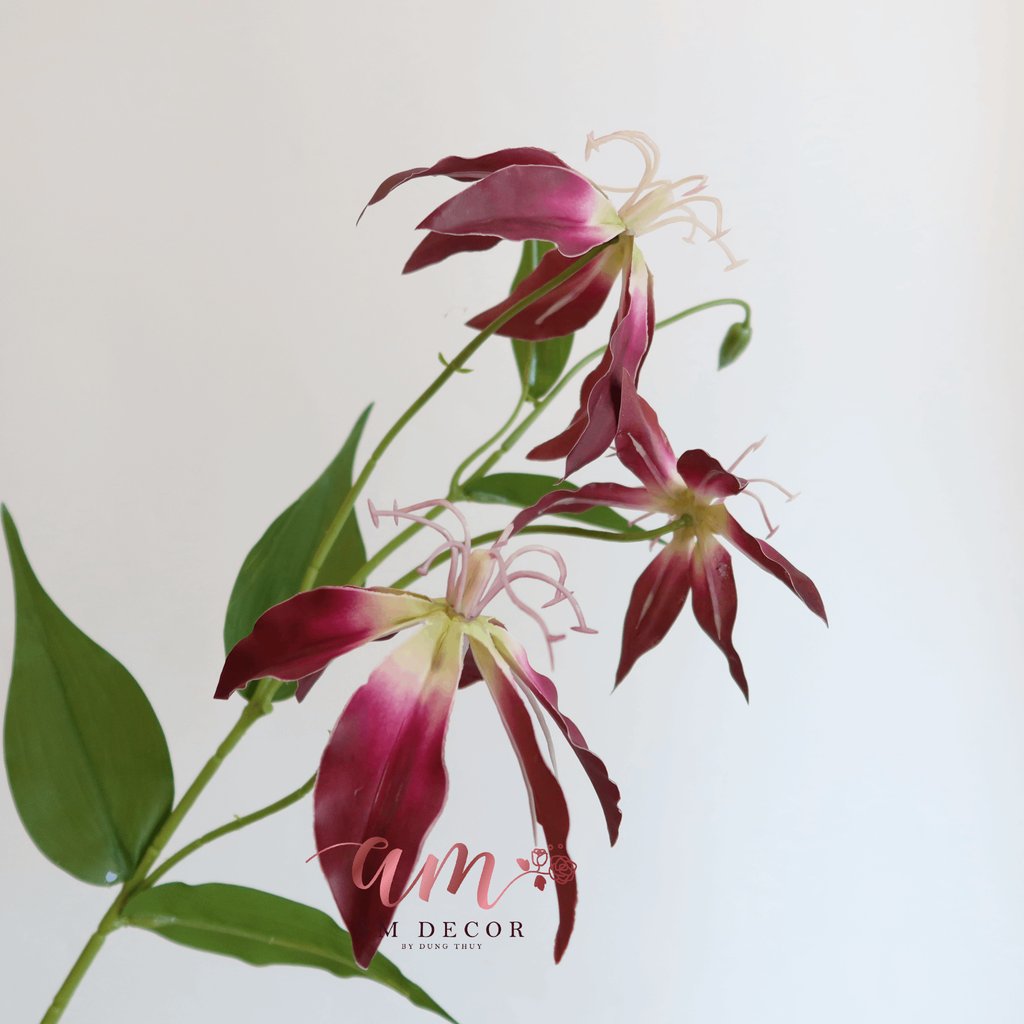 HOA LILY LỬA (Tím)