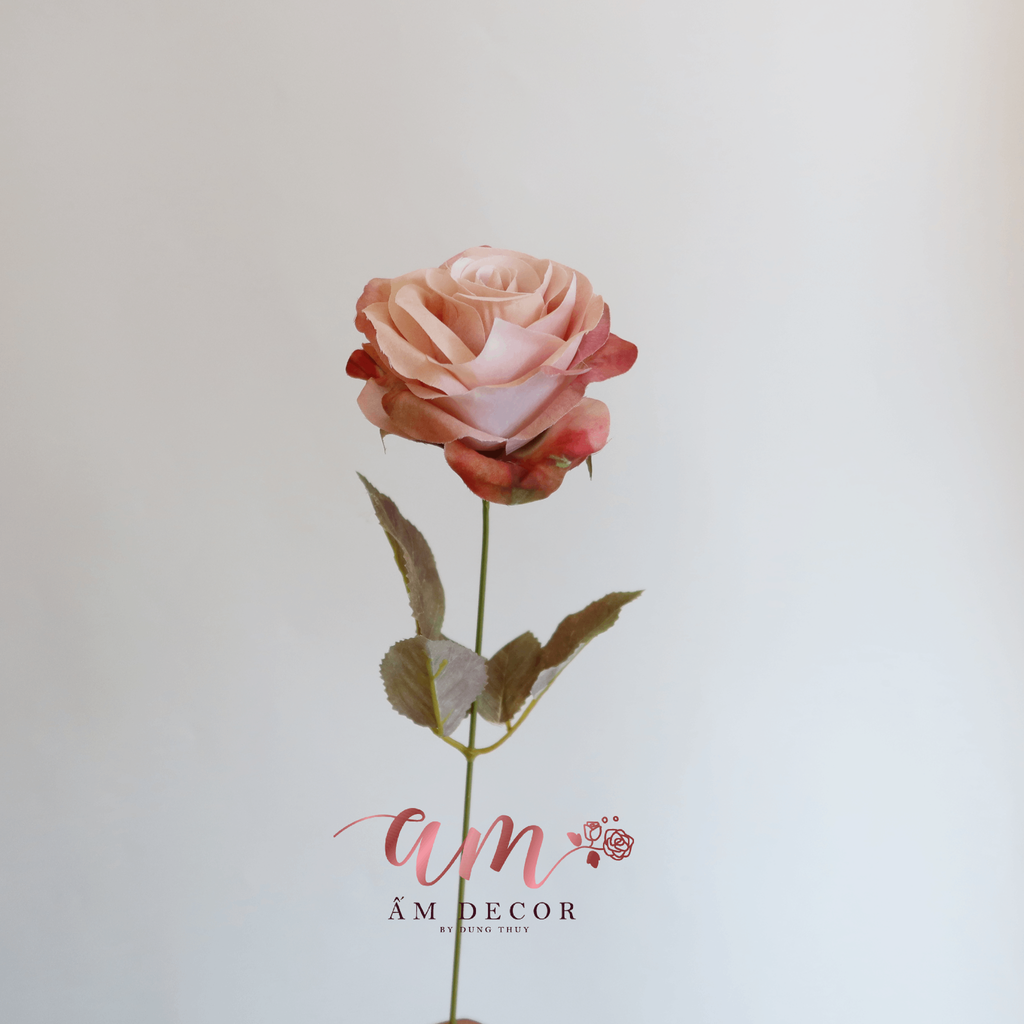 CHÙM HOA HỒNG CỔ ĐIỂN (Hồng)