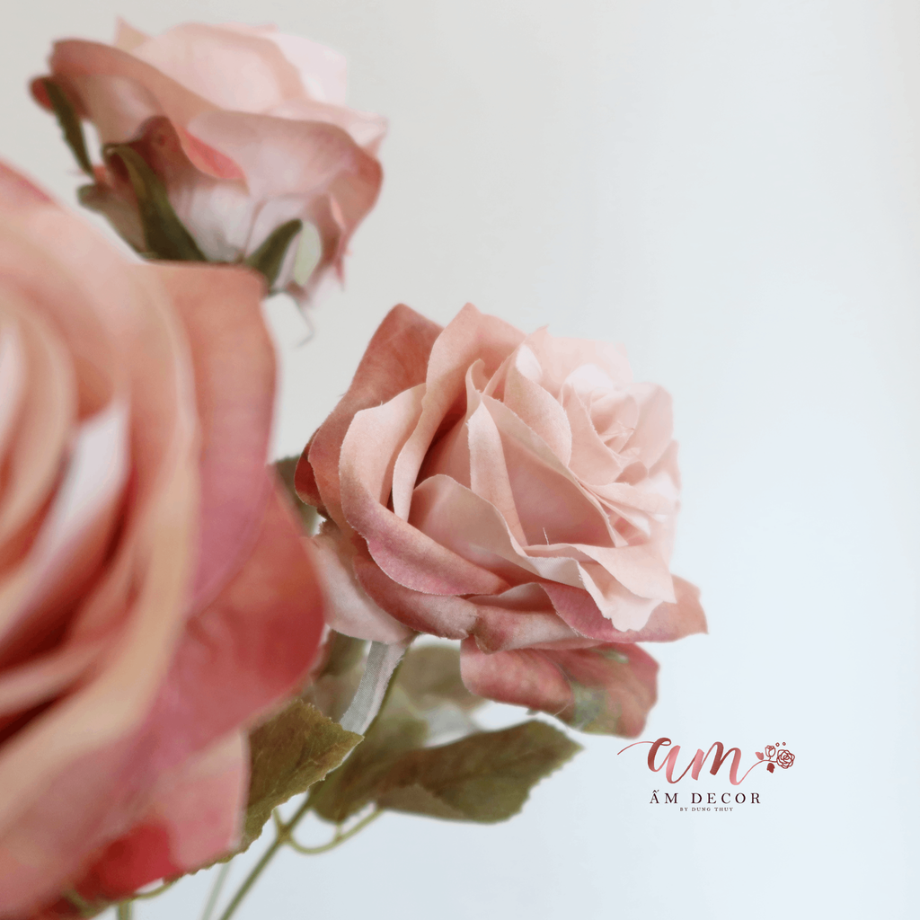 CHÙM HOA HỒNG CỔ ĐIỂN (Hồng)