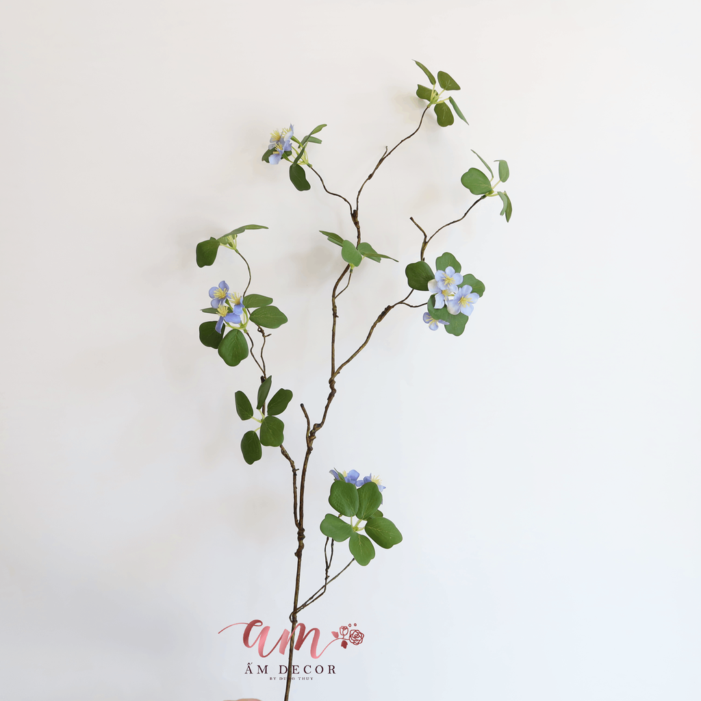 CÀNH LẠC TIÊN ĐIỂM HOA NHÍ
