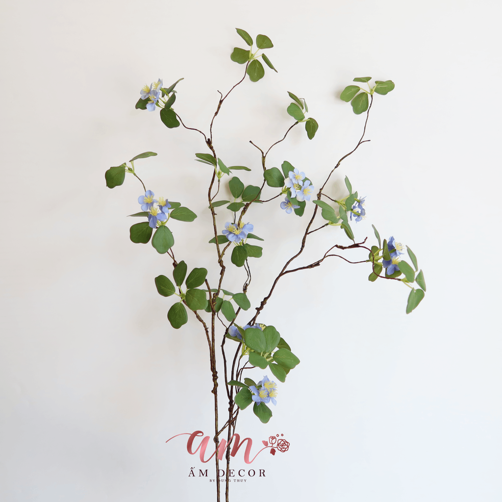 CÀNH LẠC TIÊN ĐIỂM HOA NHÍ