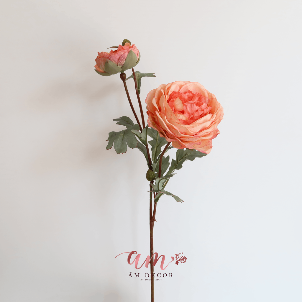 ZHỒNG MẪU ĐƠN (Cam Đào)