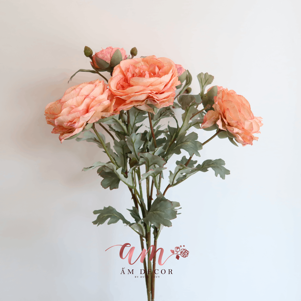 ZHỒNG MẪU ĐƠN (Cam Đào)