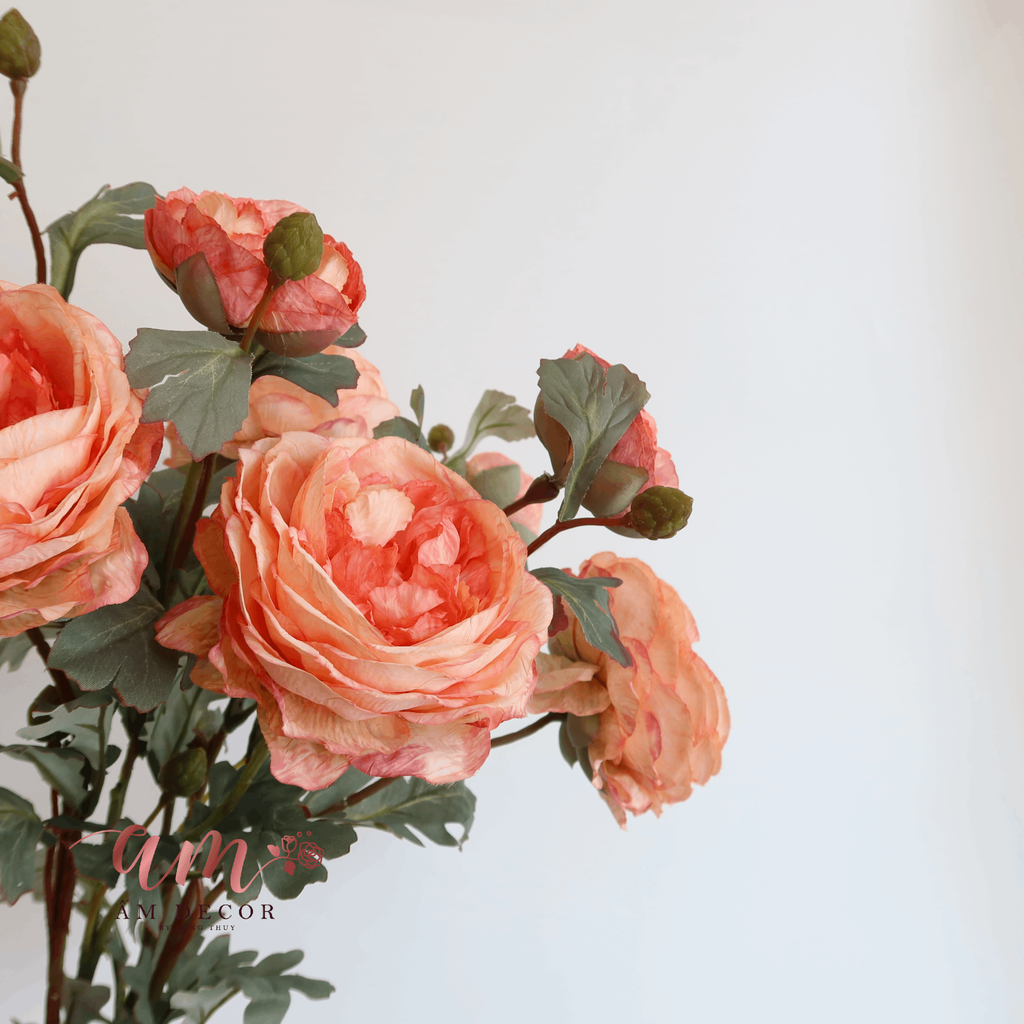 ZHỒNG MẪU ĐƠN (Cam Đào)