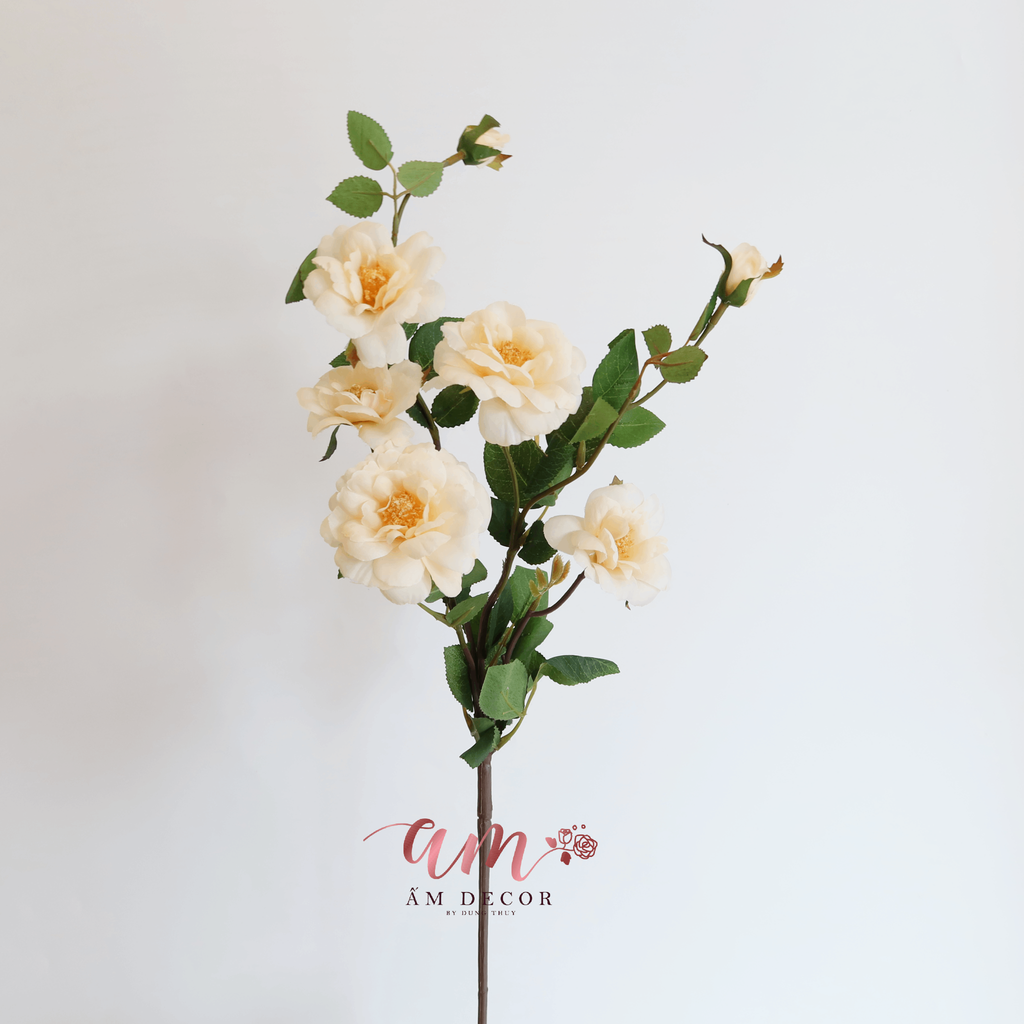 CÀNH HOA HỒNG NHÍ 5 CÁNH NỞ  (Kem)