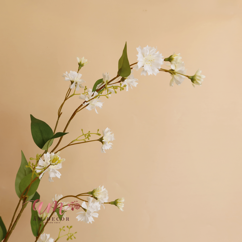 CÀNH HOA THẠCH THẢO CÁNH XẺ