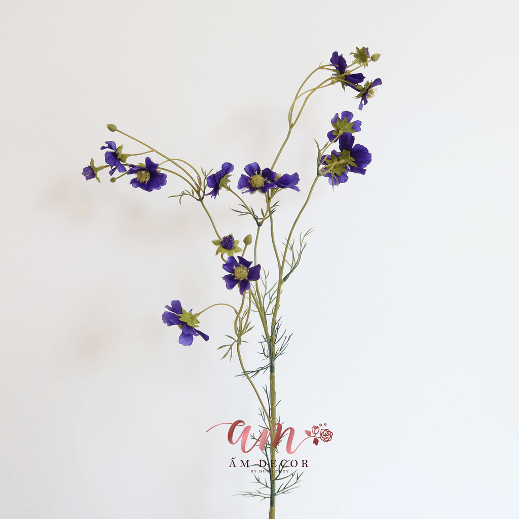 ZCÀNH HOA BLUE COSMOS PURPLE