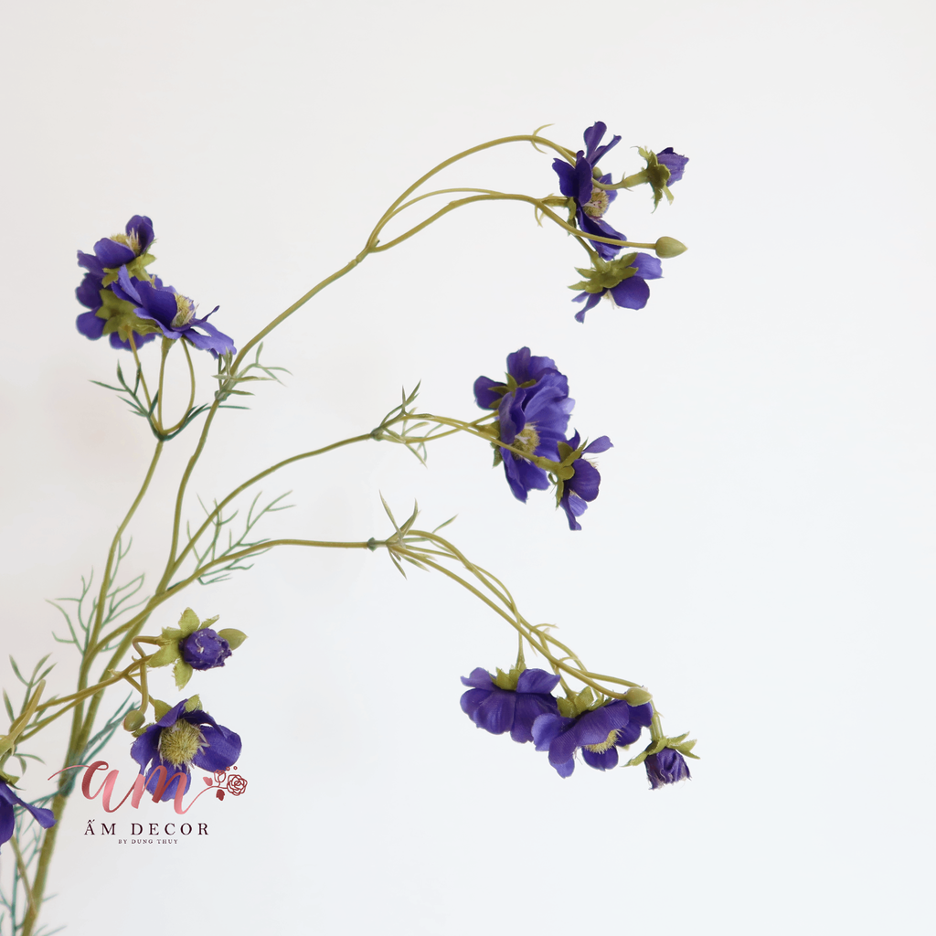 ZCÀNH HOA BLUE COSMOS PURPLE