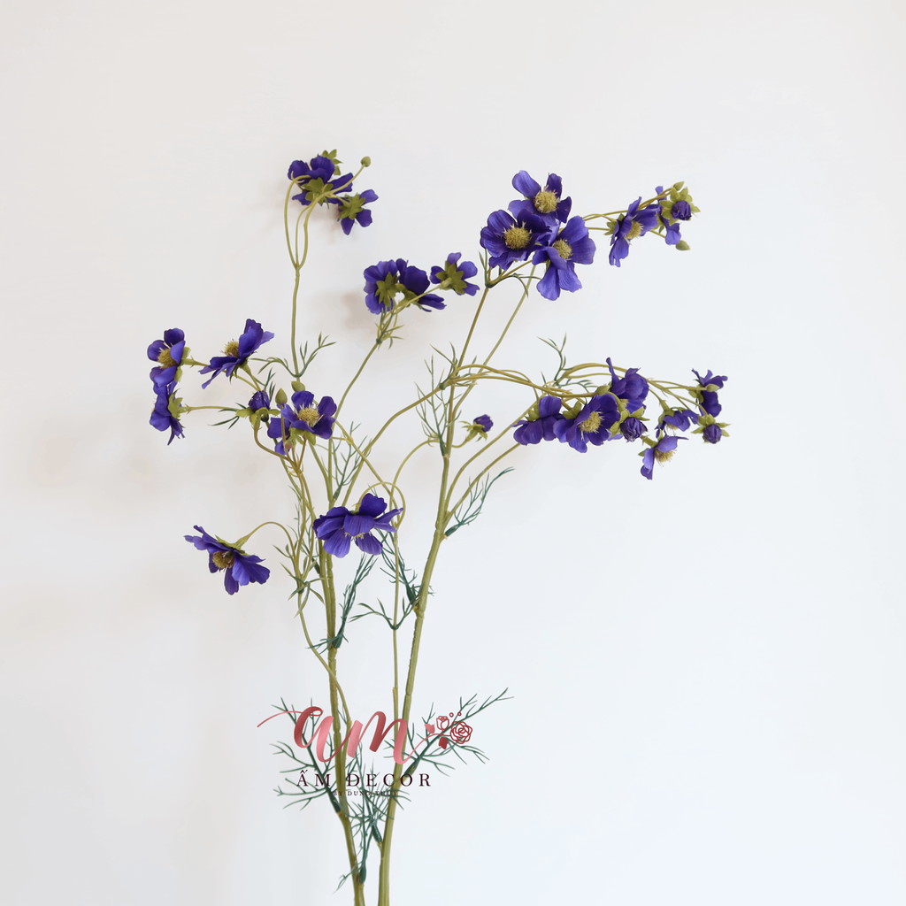 ZCÀNH HOA BLUE COSMOS PURPLE