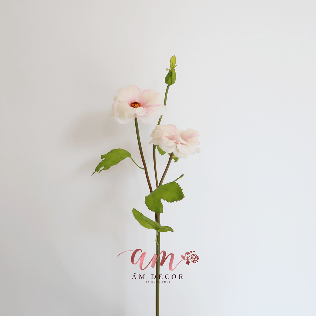 HOA DÂM BỤT (Hồng Nhạt)