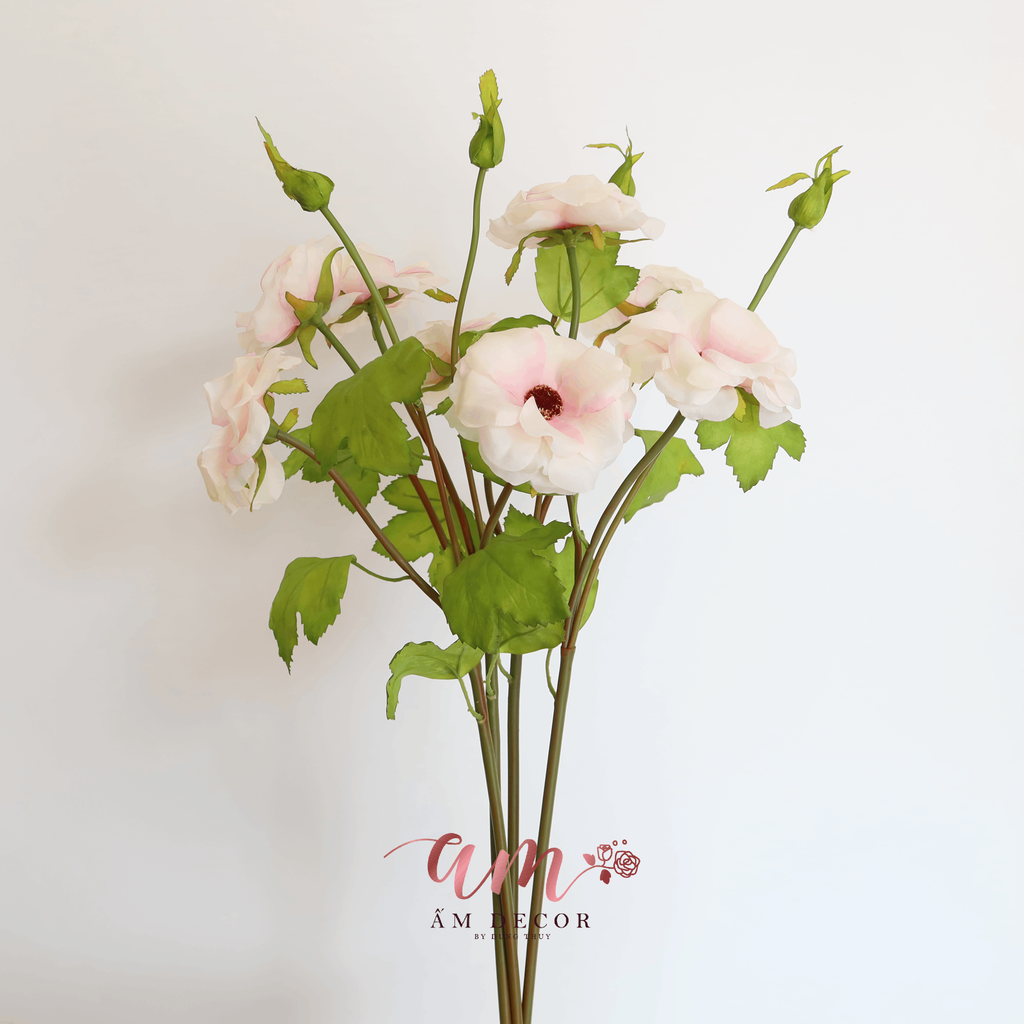 HOA DÂM BỤT (Hồng Nhạt)