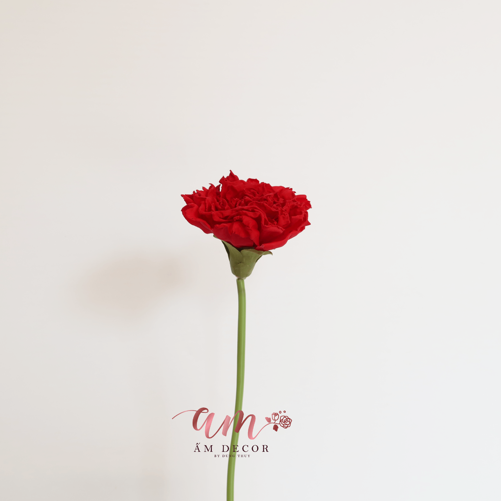 CẨM CHƯỚNG 3D (Đỏ)