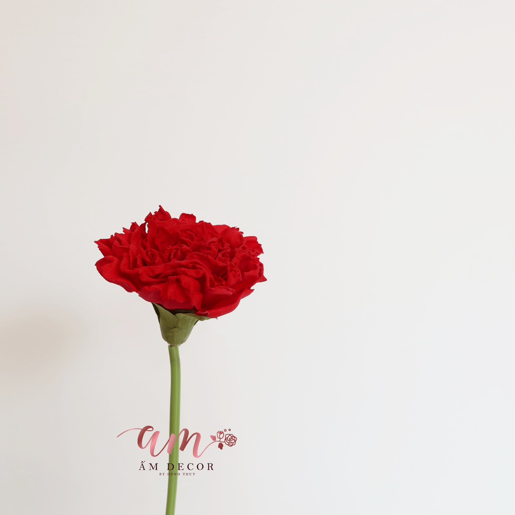 CẨM CHƯỚNG 3D (Đỏ)