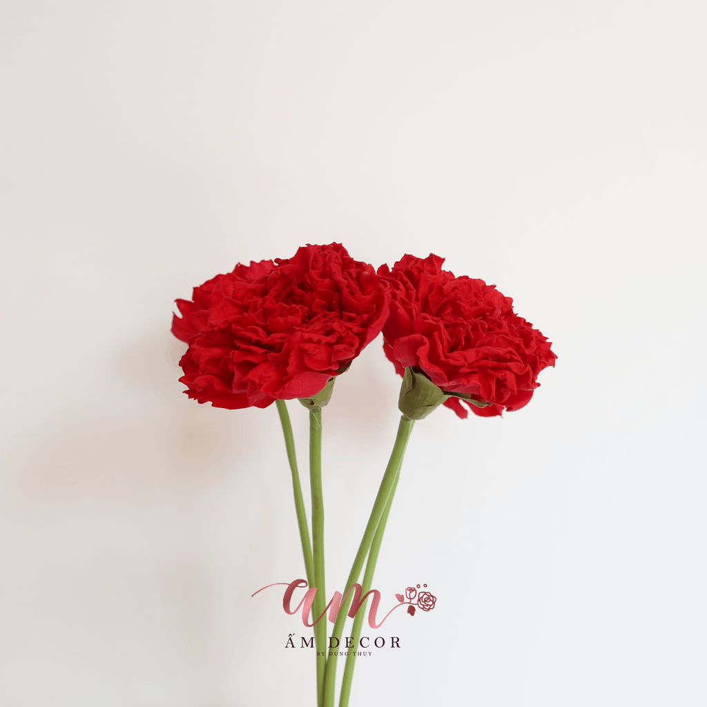 CẨM CHƯỚNG 3D (Đỏ)