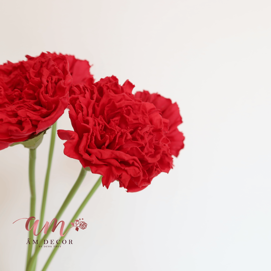 CẨM CHƯỚNG 3D (Đỏ)