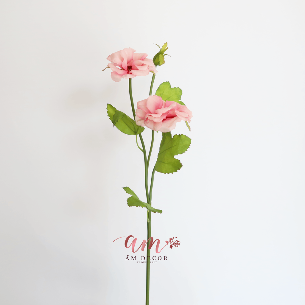 HOA DÂM BỤT (Hồng Đậm)