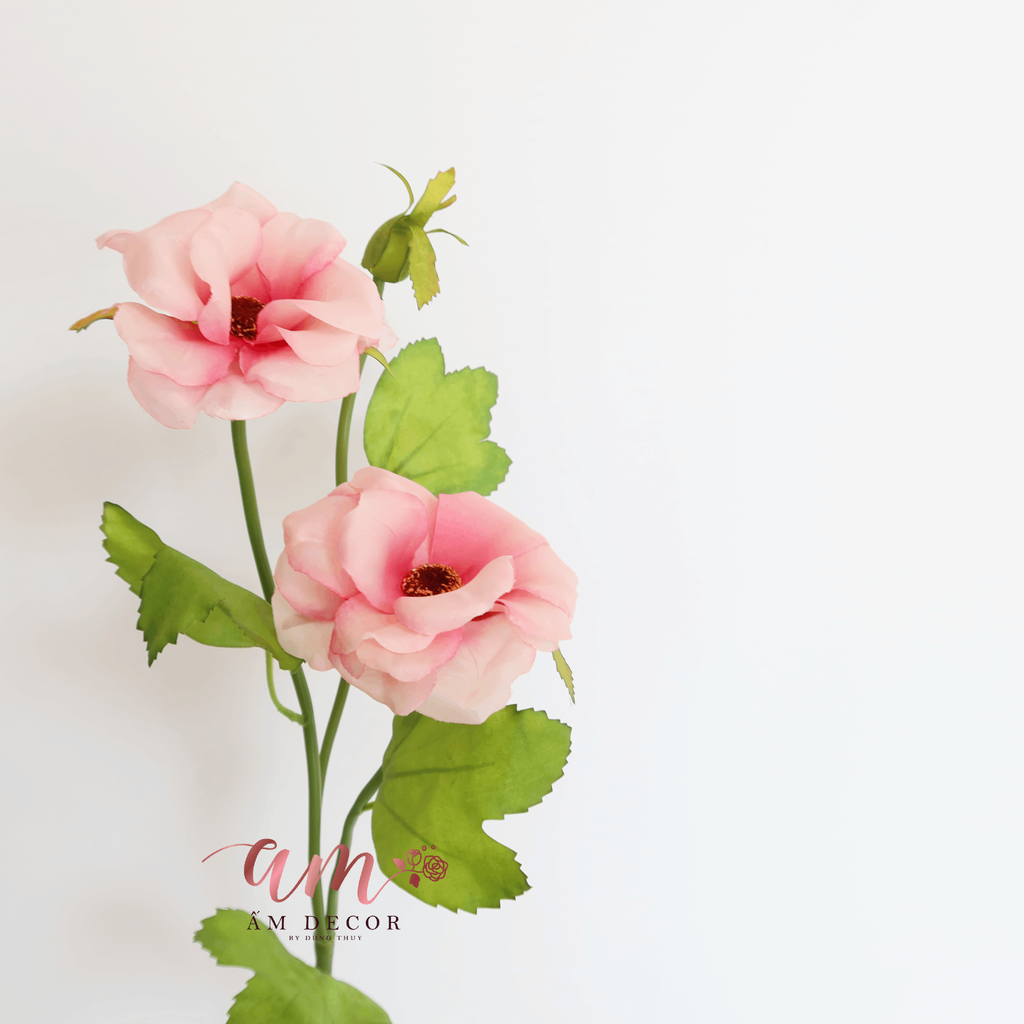 HOA DÂM BỤT (Hồng Đậm)