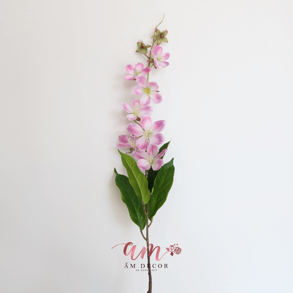 HOA BAN LEO MÙA XUÂN (Hồng Tím)