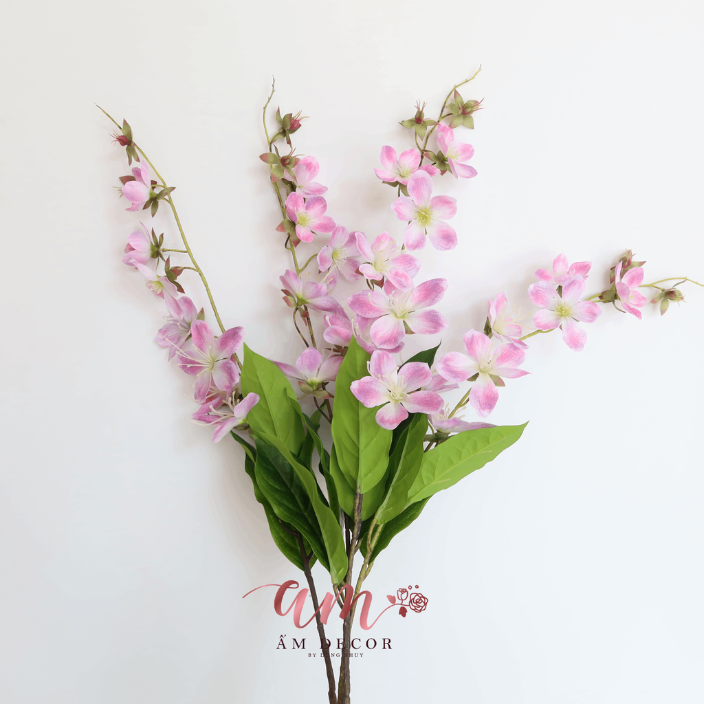 HOA BAN LEO MÙA XUÂN (Hồng Tím)