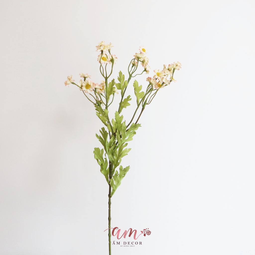 ZCÚC TANA LỤA ( Hồng )