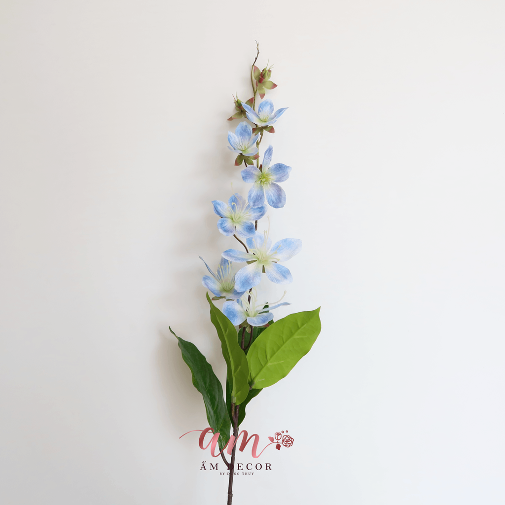 HOA BAN LEO MÙA XUÂN (Xanh Dương)
