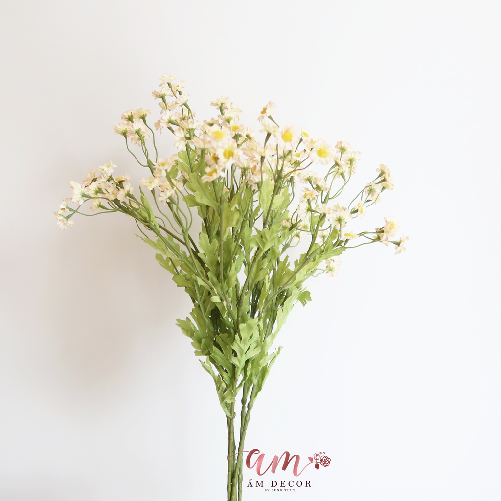 ZCÚC TANA LỤA ( Hồng )