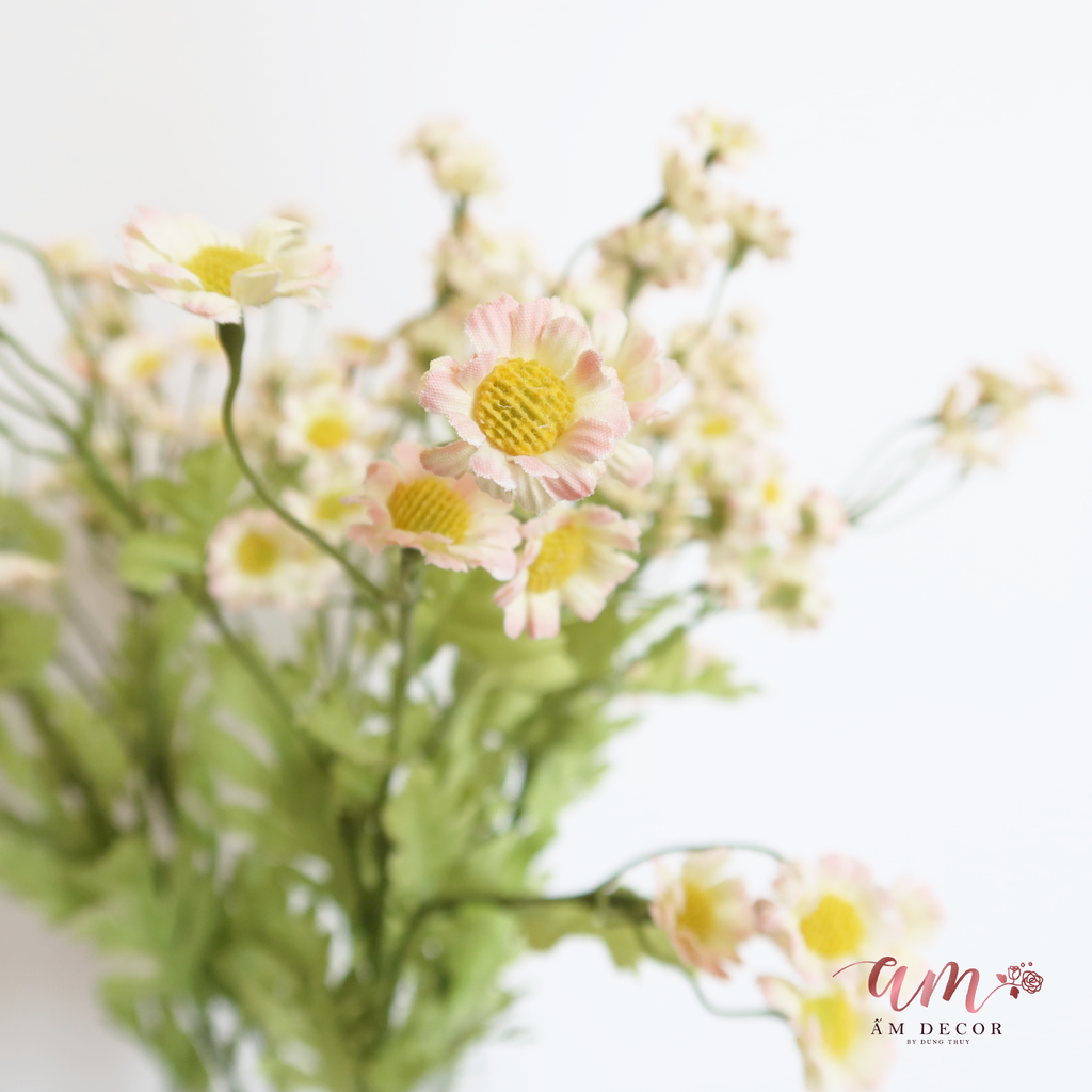 ZCÚC TANA LỤA ( Hồng )