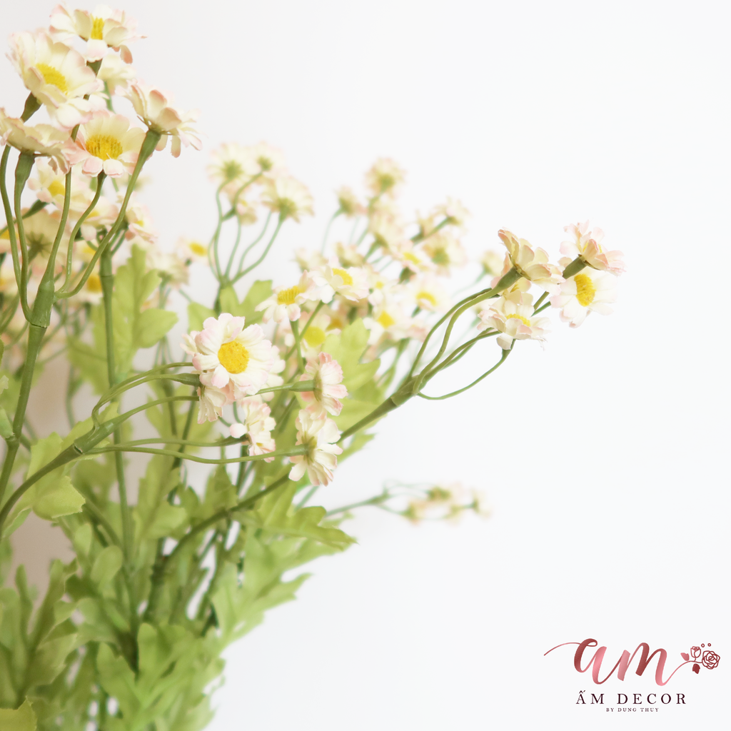 ZCÚC TANA LỤA ( Hồng )