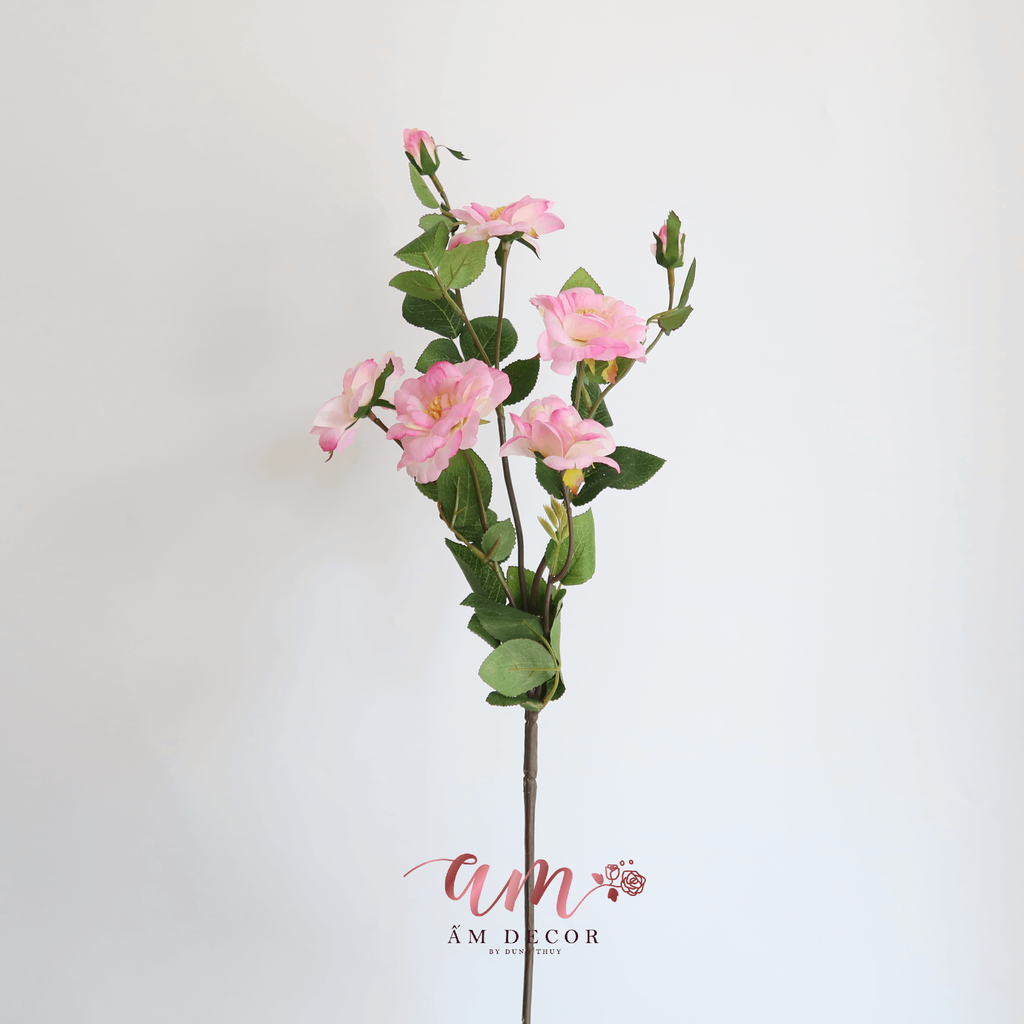 CÀNH HOA HỒNG NHÍ 5 CÁNH NỞ  (Hồng)