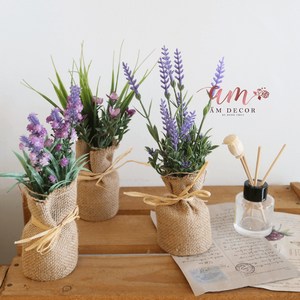 ZCÂY LAVENDER VẢI BỐ