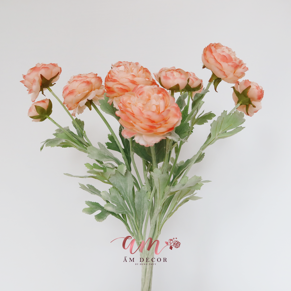 MẪU ĐƠN BÚP (Cam Đào)