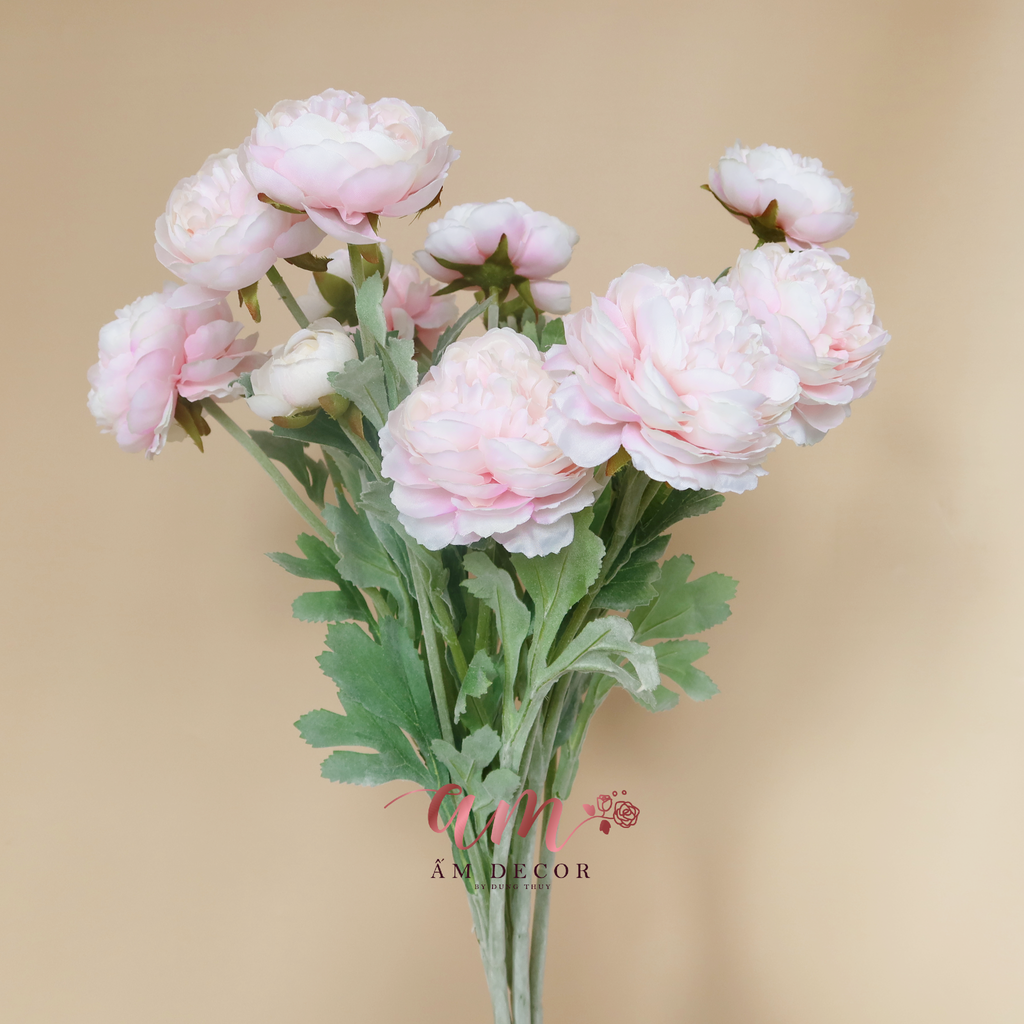 ZMẪU ĐƠN BÚP (Hồng Phấn)