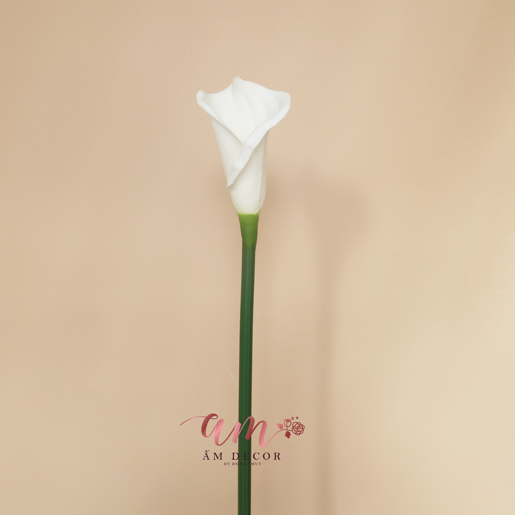 ZRUM TRẮNG CÀNH 67cm