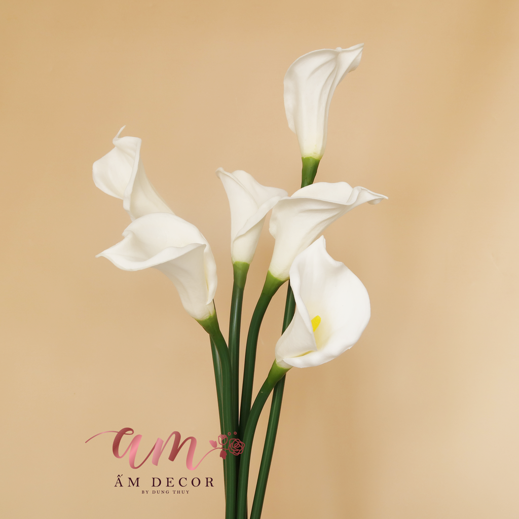 ZRUM TRẮNG CÀNH 67cm