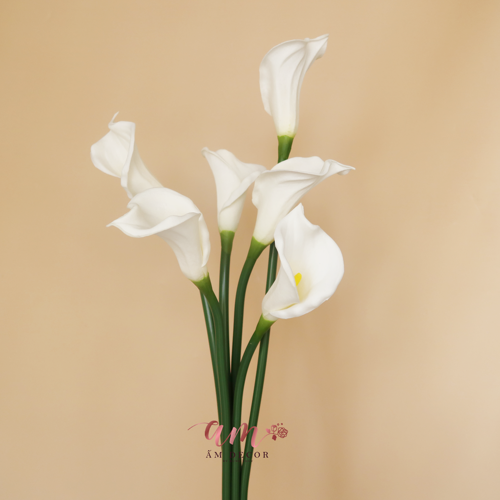 ZRUM TRẮNG CÀNH 67cm