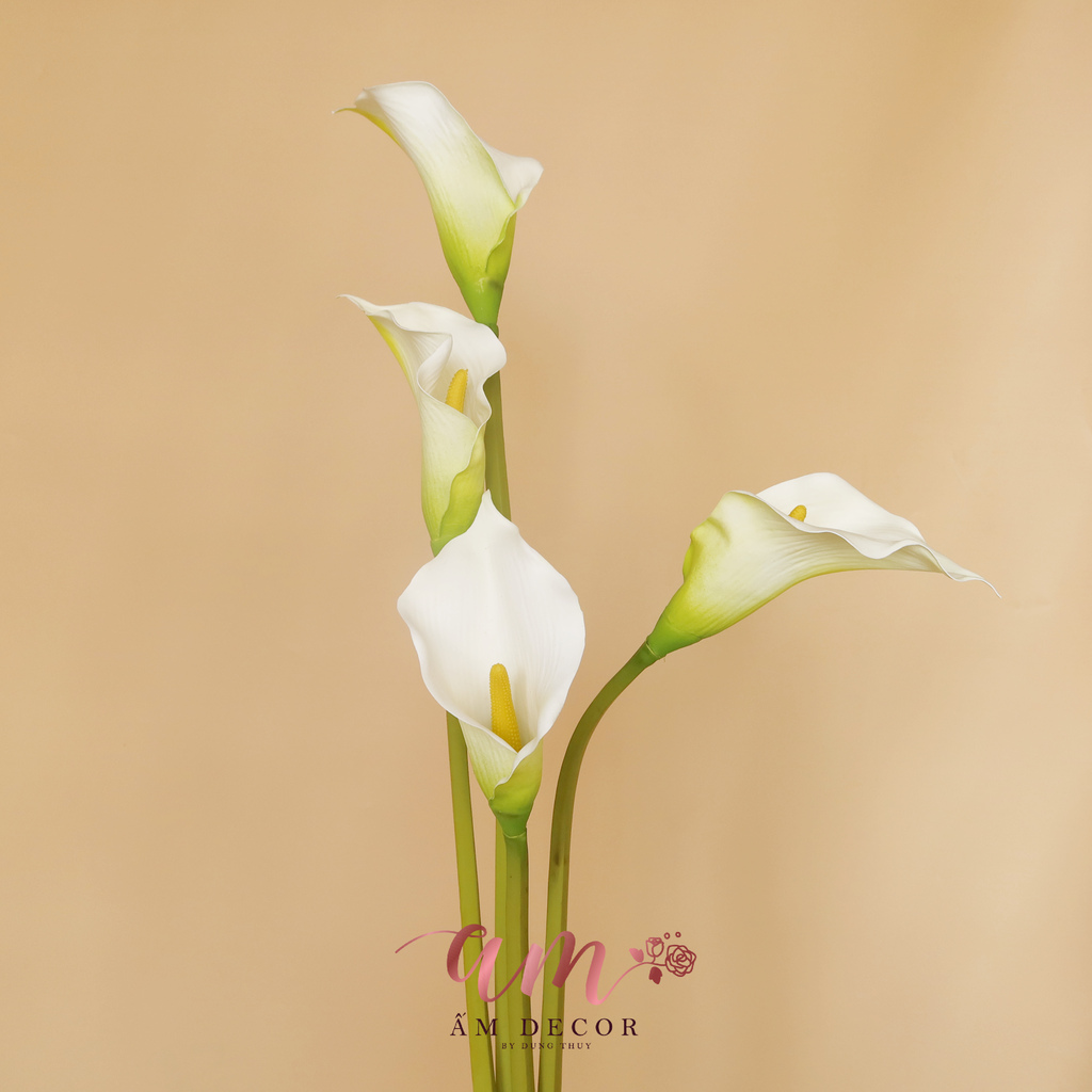 ZRUM TRẮNG CÀNH 73cm