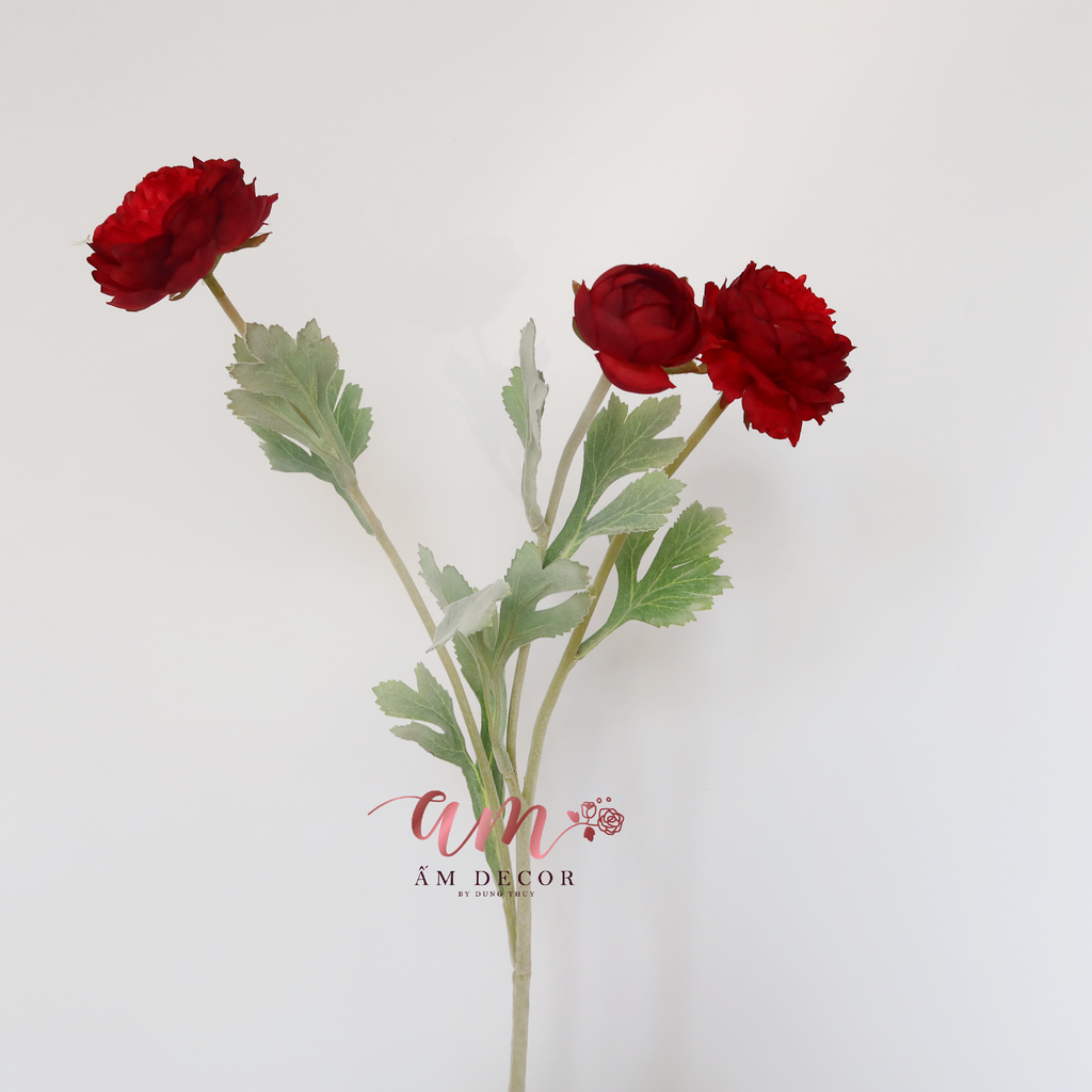 ZMẪU ĐƠN BÚP (Đỏ)