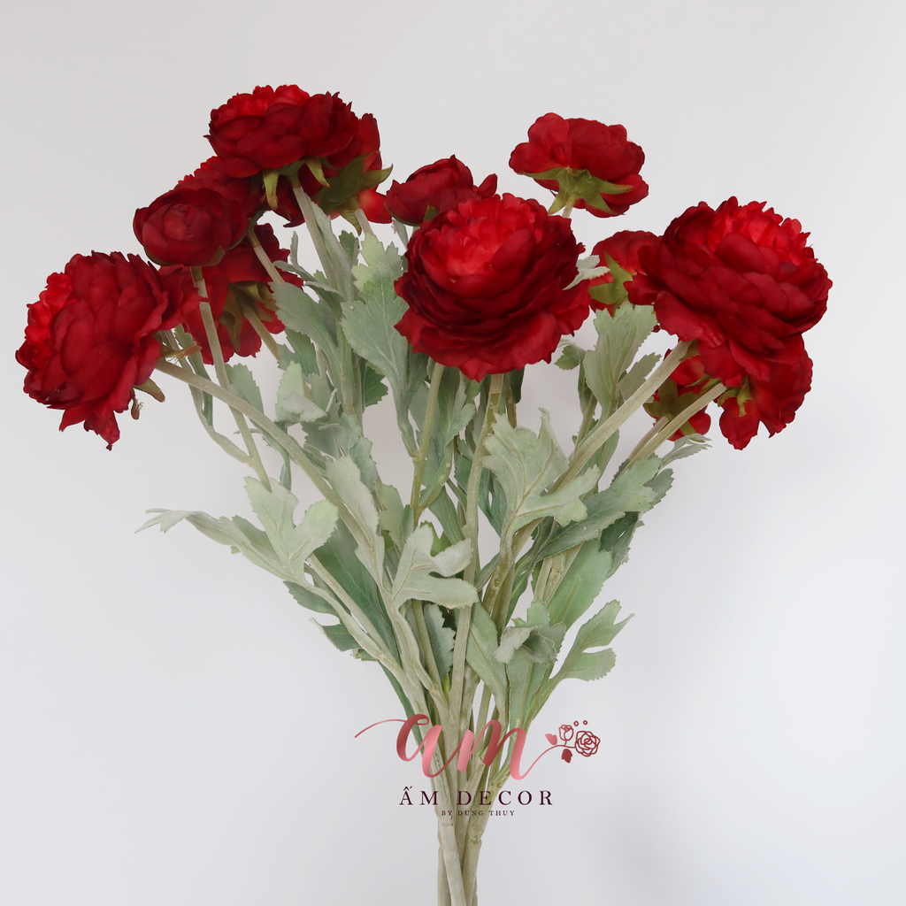 ZMẪU ĐƠN BÚP (Đỏ)