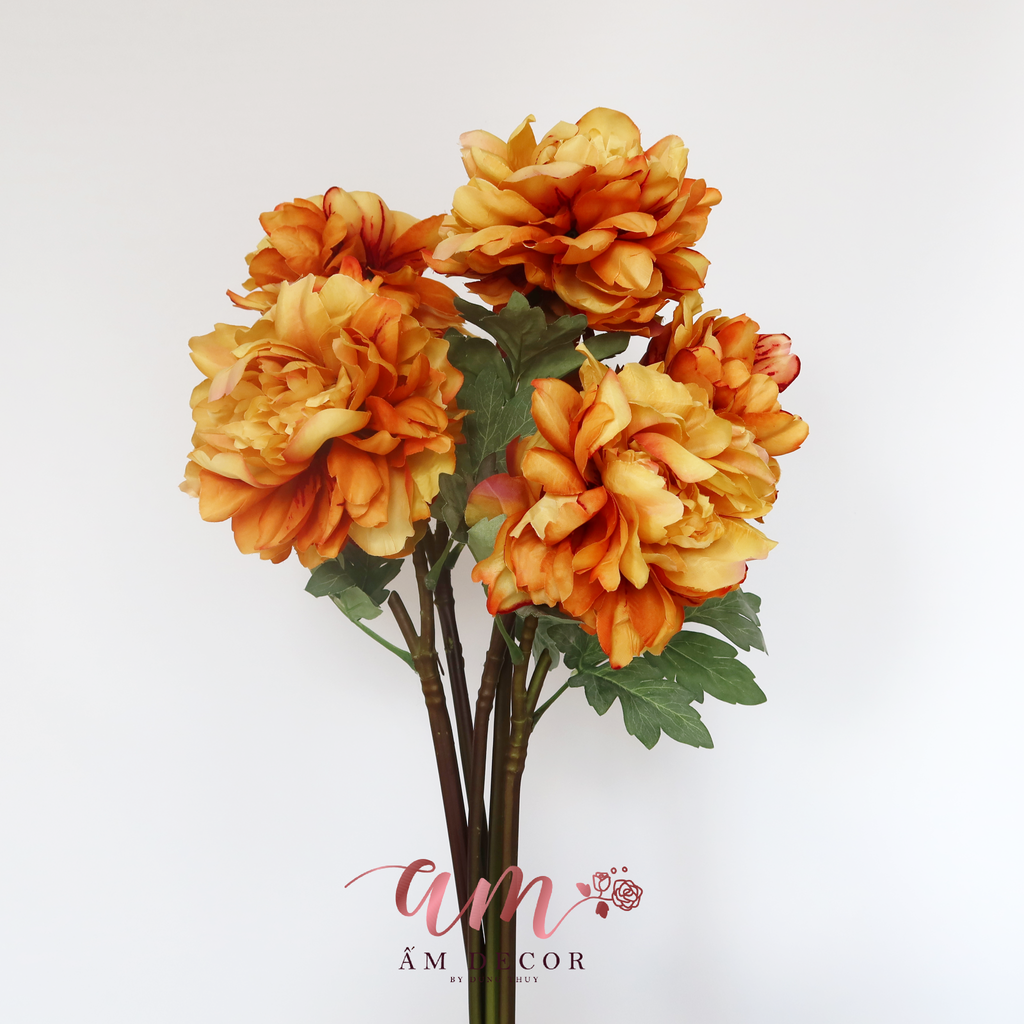 MẪU ĐƠN BẮC ÂU