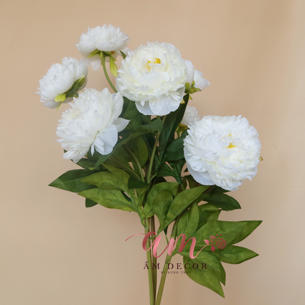 ZMẪU ĐƠN XỊN CÀNH 2B1N (Trắng)