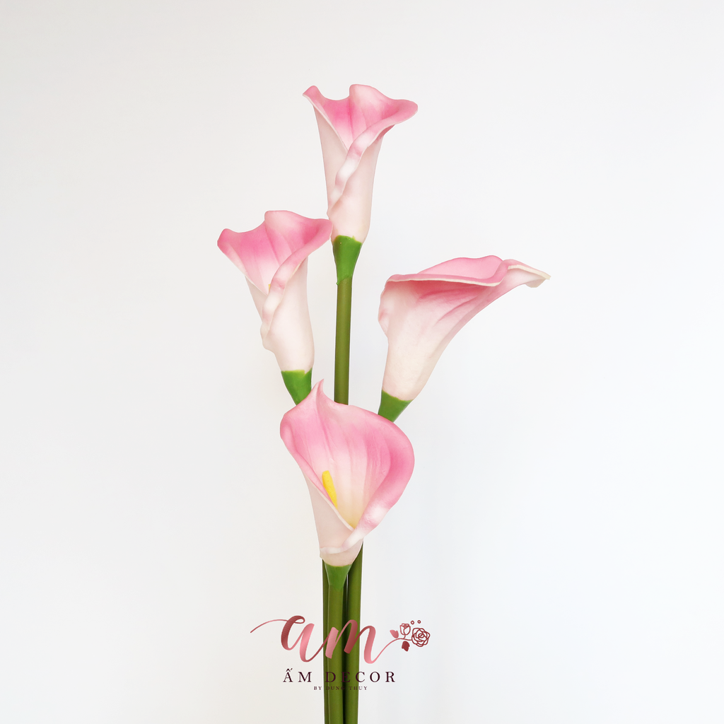 RUM HỒNG CÀNH 67cm