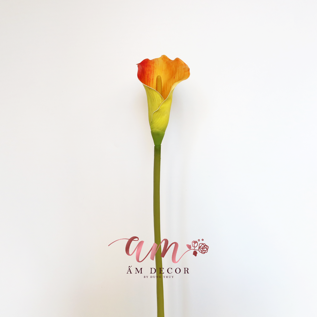 RUM CAM XANH CÀNH 73cm