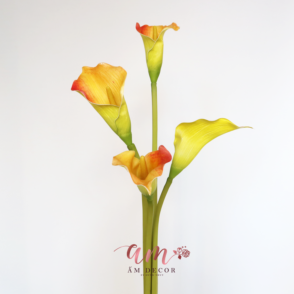 RUM CAM XANH CÀNH 73cm