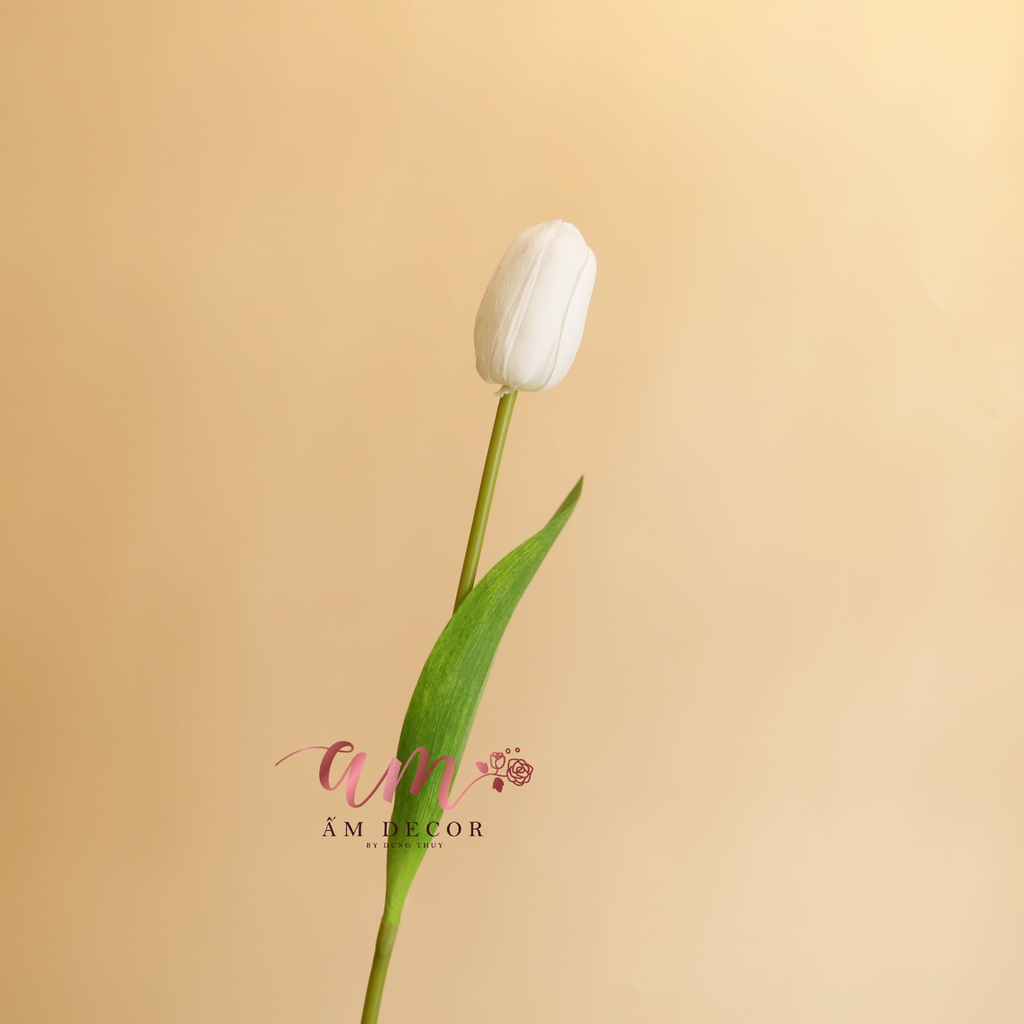 HOA TULIP RAFFIA (Trắng)